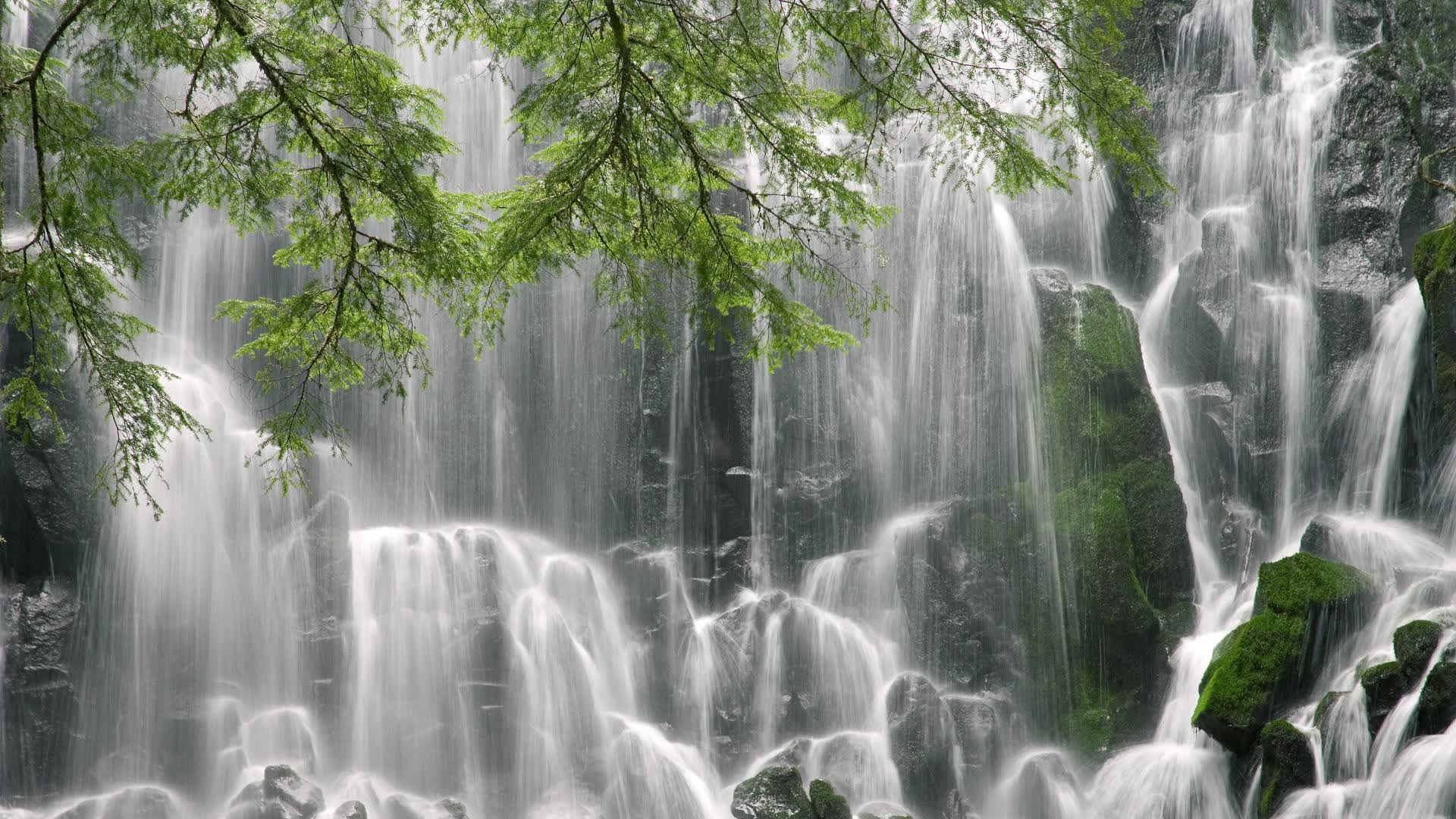世界游艇挑战赛赛前试航直播受关注，世界游艇俱乐部